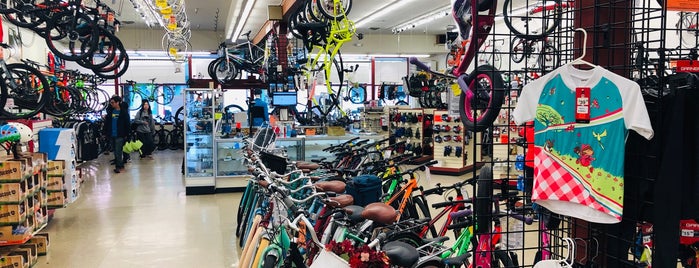 Talbots Cyclery is one of Dave : понравившиеся места.