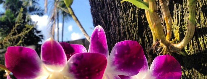 Bali Orchid Garden is one of A Perfect Day in Bali.