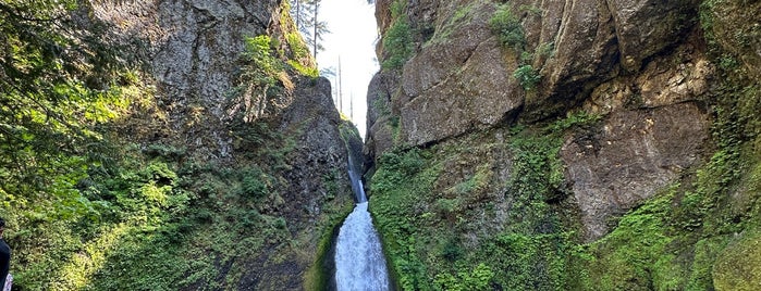 Wahclella Falls is one of p.land.