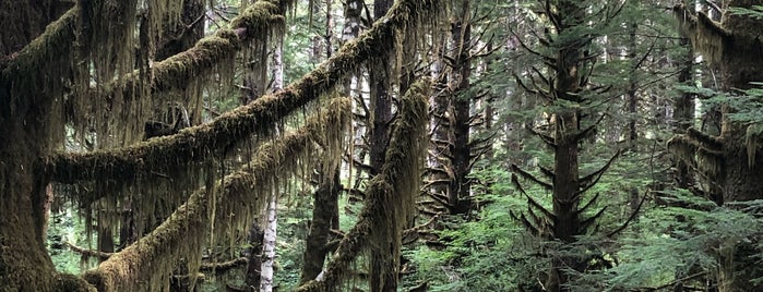 Tillamook State Forest is one of E : понравившиеся места.