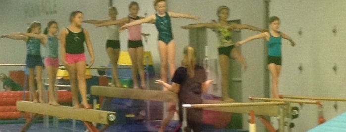 Pinnacle Gymnastics is one of Locais curtidos por Beth.
