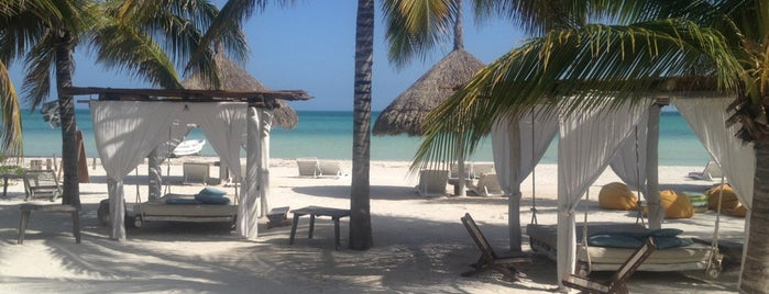 Casa Las Tortugas is one of Holbox.