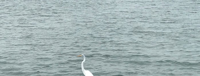 Río Coatzacoalcos is one of Posti che sono piaciuti a Nono.