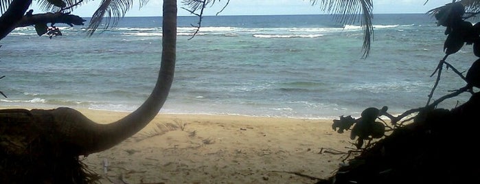 Shacks Beach is one of Puerto Rican Beaches.