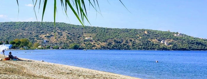 Kamares Beach is one of Must-visit beaches in Laconia.