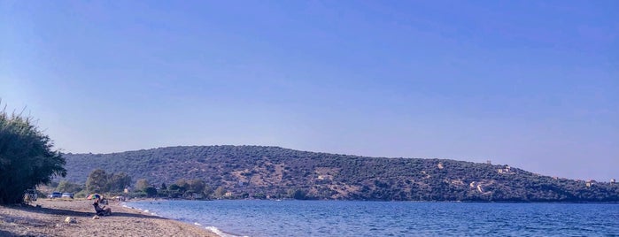 Kamares Beach is one of Must-visit beaches in Laconia.