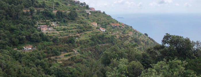 La Locanda del Gallese is one of La Spezia.