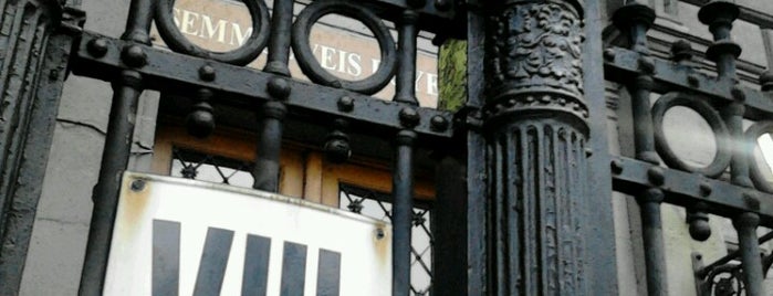 SOTE Dékáni Hivatal is one of Semmelweis Egyetem körtúra.
