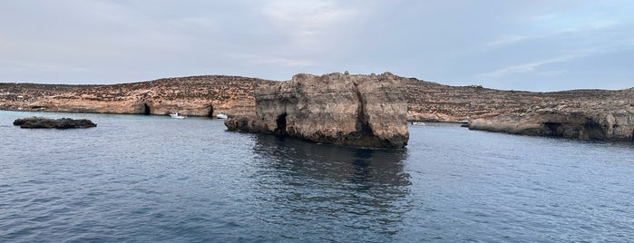 Santa Marija / Comino Cave is one of Malta Dive Spots.