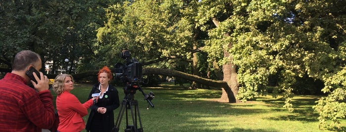 Park Klepacza is one of Guide to Łódź's best spots.