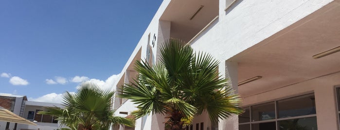 Hotel Dos Lobos is one of Orte, die Glow gefallen.