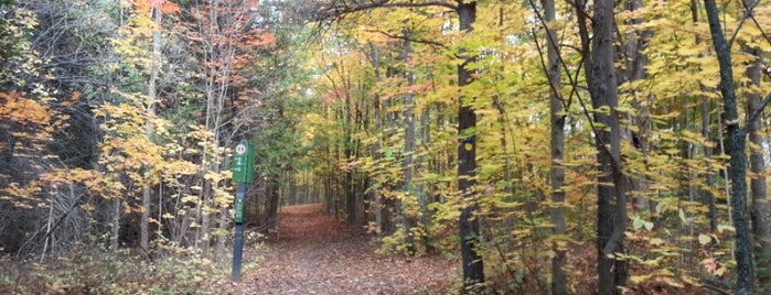 Rideau Trail is one of Ottawa Trails, Parks, Beaches.