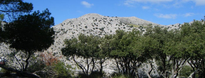 Puig de sa Rateta is one of Los 1000 de Mallorca ®.
