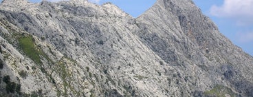 Puig de ses Vinyes is one of Los 1000 de Mallorca ®.