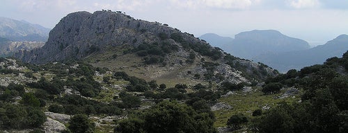 Puig des Coll des Jou is one of Los 1000 de Mallorca ®.