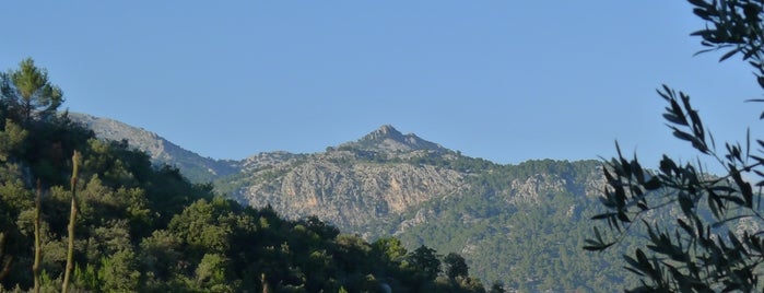 Puig de n'Alí is one of Los 1000 de Mallorca ®.