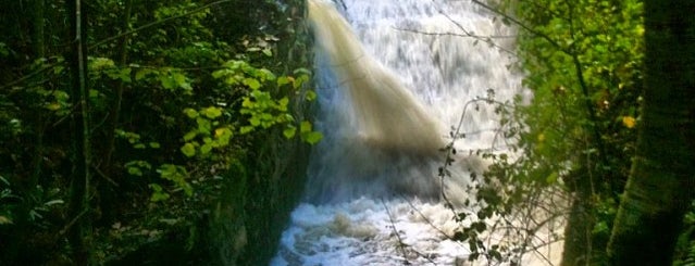 Stover Country Park is one of Robertさんのお気に入りスポット.