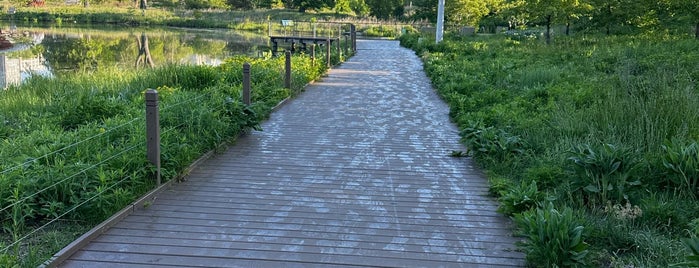 Nature Boardwalk is one of Redefining Art in Chicago.