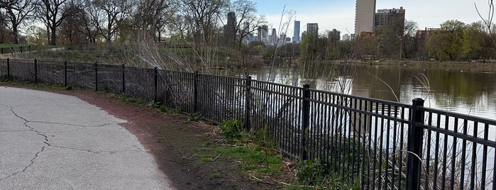 North Pond Nature Sanctuary is one of nature in the city.