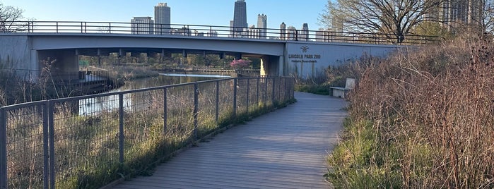 Nature Boardwalk is one of Chicago NKTKLW.