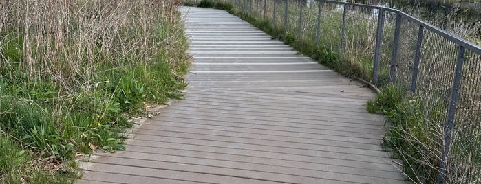 Nature Boardwalk is one of Summertime Chi.