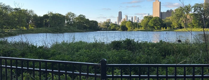 North Pond Nature Sanctuary is one of Places I Went in Chicago.