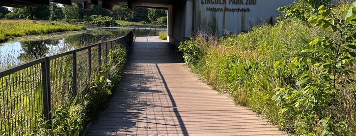 Nature Boardwalk is one of Yoga Spots.