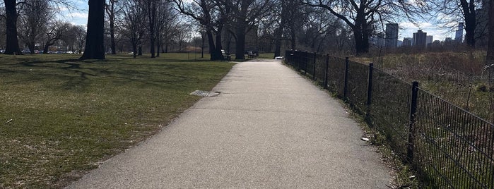 Lincoln Park is one of Chicago-go-go.