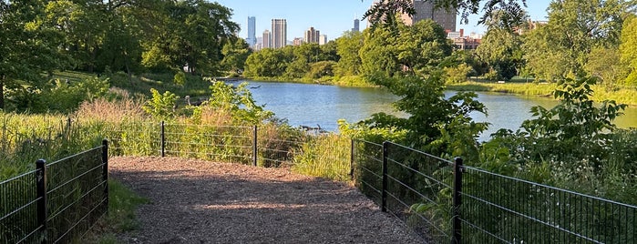North Pond Nature Sanctuary is one of Chicago.