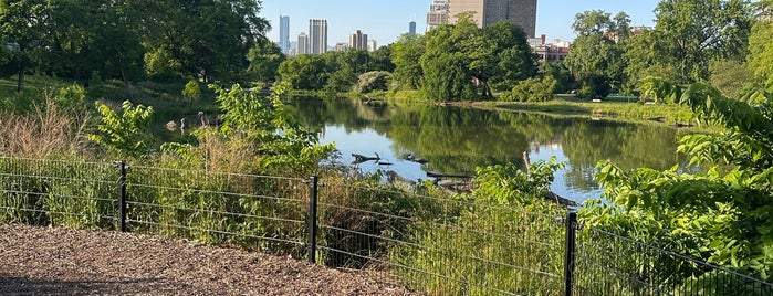 Lincoln Park is one of Chicago - June 2014.