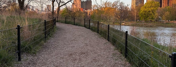 Lincoln Park is one of Favorite Great Outdoors.