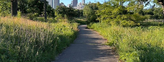 Nature Boardwalk is one of chiTown.
