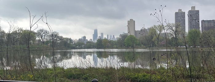 North Pond Nature Sanctuary is one of Chicago Parks.
