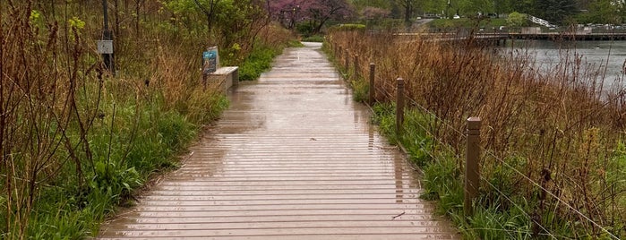 Nature Boardwalk is one of Chicago Plaves.