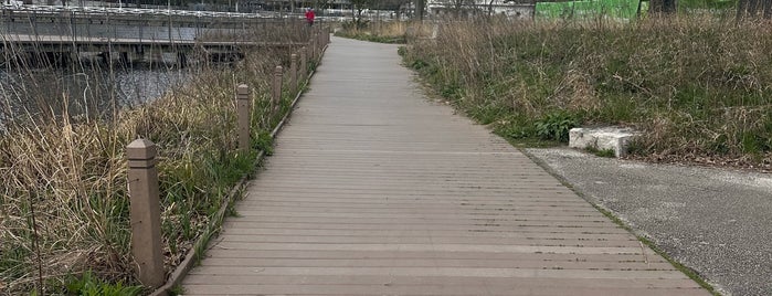 Nature Boardwalk is one of Chicago with JetSetCD.