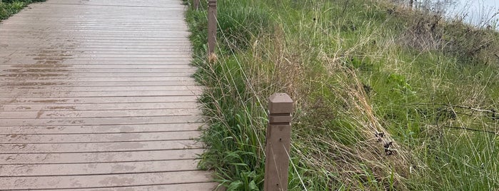 Nature Boardwalk is one of Chicago.