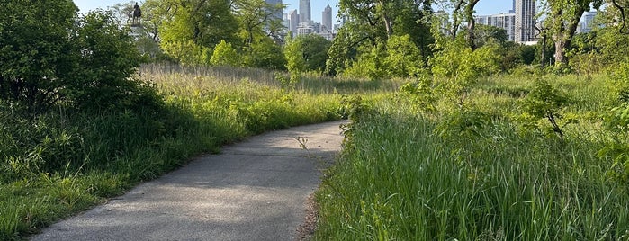 Nature Boardwalk is one of Redefining Art in Chicago.