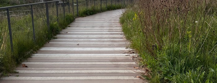 Nature Boardwalk is one of Day Trips and  Hiking.
