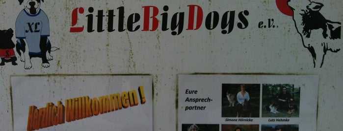 Little Big Dogs Hundeschule is one of Hunde in Berlin.