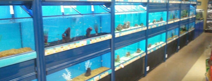 Petco is one of สถานที่ที่ B ถูกใจ.