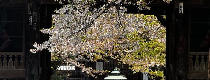 明顕山 祐天寺 is one of あそこらへん.