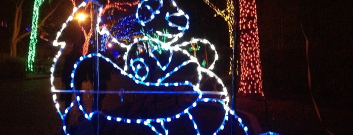 Zoolights is one of Lindsey : понравившиеся места.