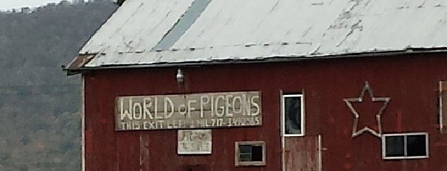 World Of Pigeons is one of PA Sights.