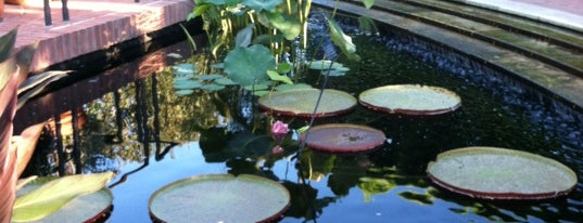 Chicago Botanic Garden is one of Chicago To-Dos.