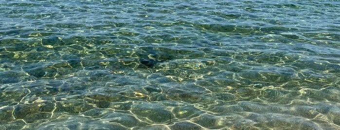 Τρανή Αμμούδα is one of Halkidiki Beach.