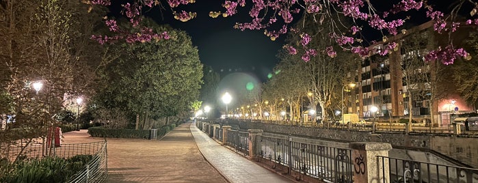 Paseo del Salón is one of Granada.