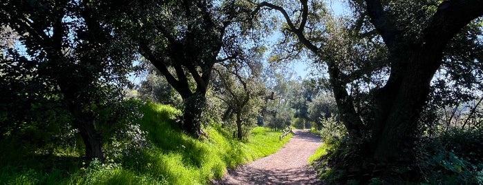 Santiago Oaks Regional Park is one of Hiking - LA - South Bay - OC - etc..