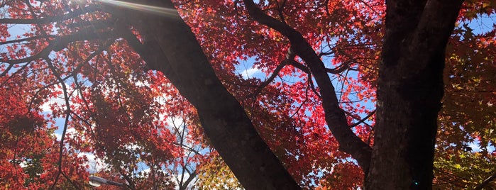 與志漏神社 is one of 行きたい.