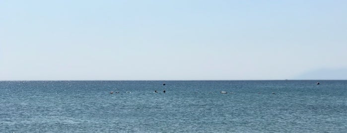 Gossip Beach is one of Posti salvati di Arzum🌼🌼🌼.