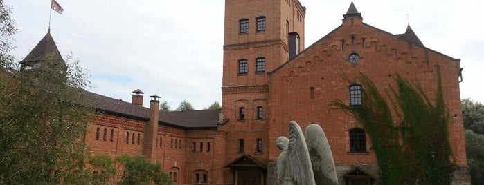 Замок Радомиcль / Radomysl Castle is one of октябрь 2013 - outdoors.